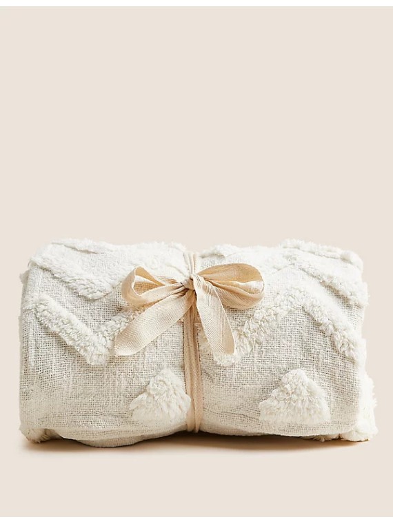 Velvet Cushion